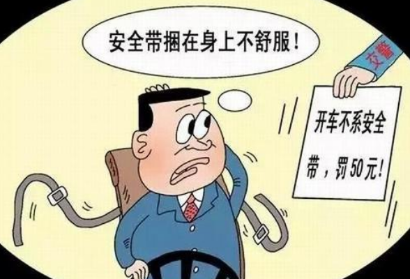 枣庄交通违章查询-云南交通违章查询网